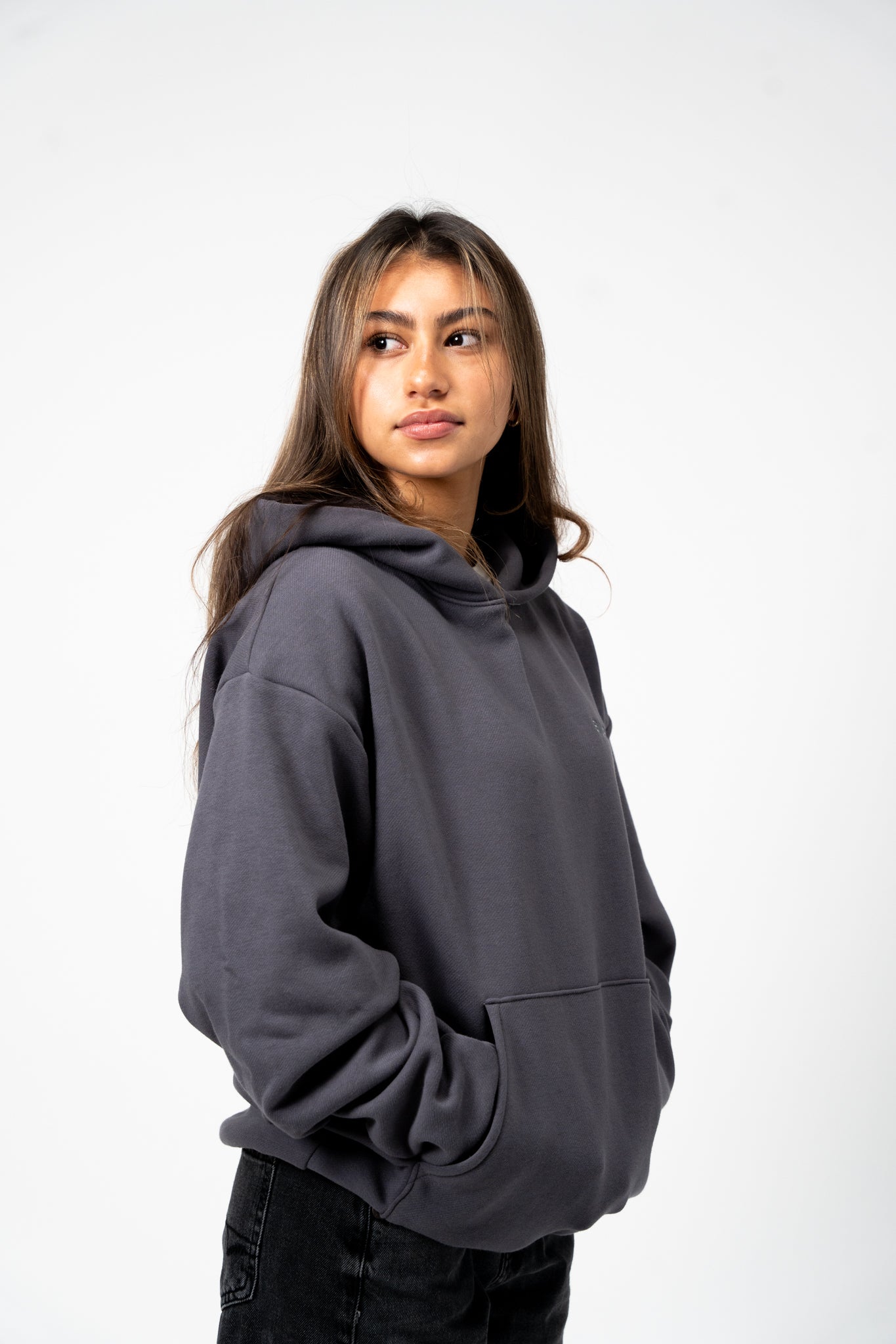 "DREAM LIFE" (Tonal Grey) Heavyweight Hoodie